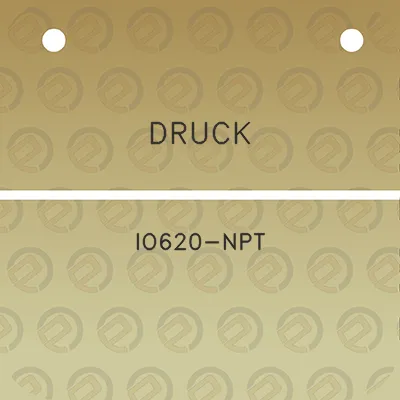 druck-io620-npt