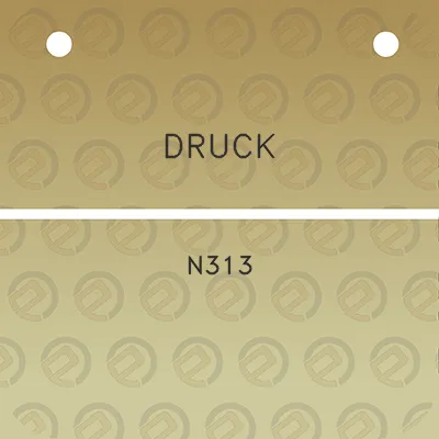 druck-n313