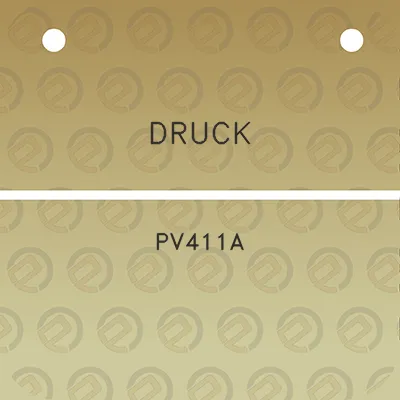 druck-pv411a