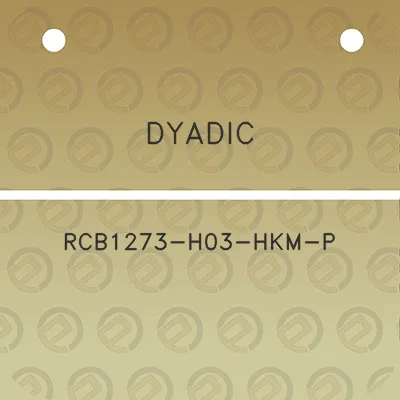 dyadic-rcb1273-h03-hkm-p