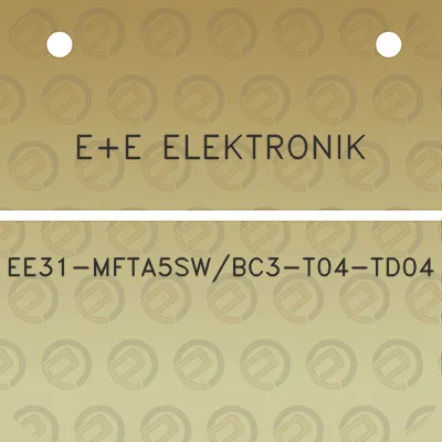 ee-elektronik-ee31-mfta5swbc3-t04-td04