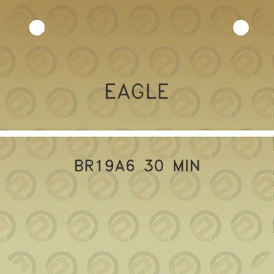 eagle-br19a6-30-min