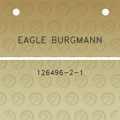 eagle-burgmann-126496-2-1