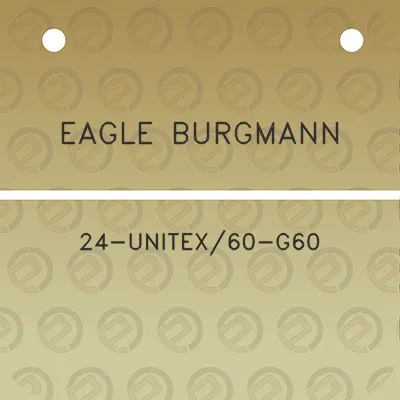 eagle-burgmann-24-unitex60-g60