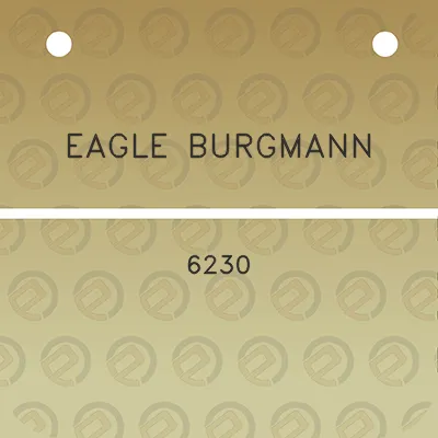 eagle-burgmann-6230