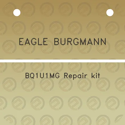 eagle-burgmann-bq1u1mg-repair-kit