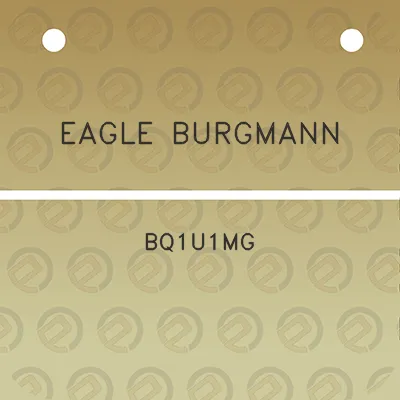 eagle-burgmann-bq1u1mg