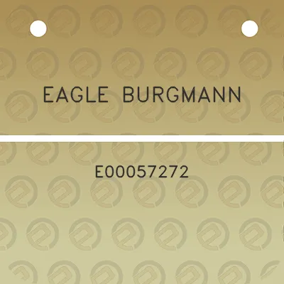 eagle-burgmann-e00057272