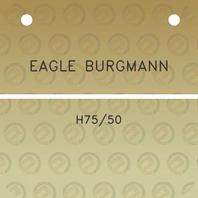 eagle-burgmann-h7550