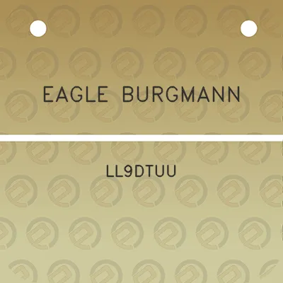 eagle-burgmann-ll9dtuu