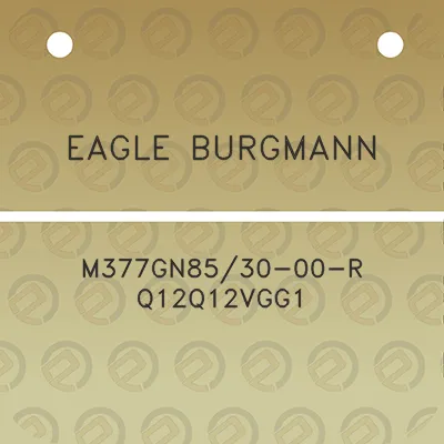 eagle-burgmann-m377gn8530-00-r-q12q12vgg1