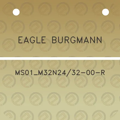 eagle-burgmann-ms01_m32n2432-00-r