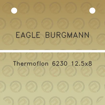 eagle-burgmann-thermoflon-6230-125x8