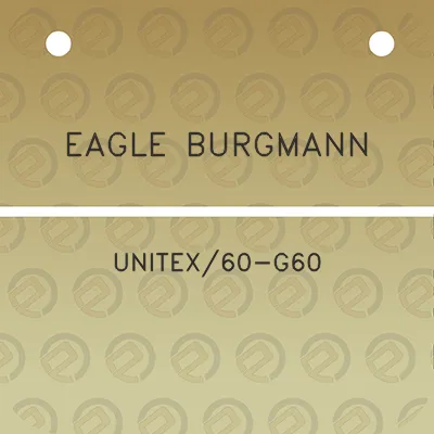 eagle-burgmann-unitex60-g60