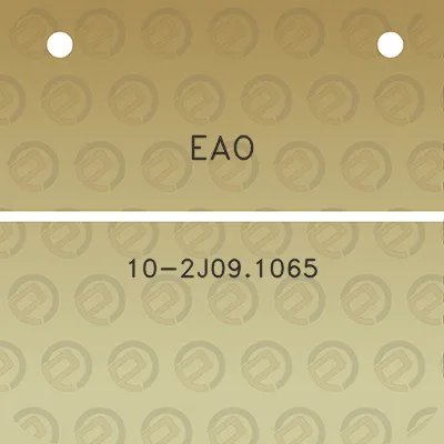 eao-10-2j091065