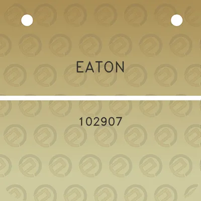 eaton-102907