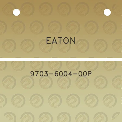 eaton-9703-6004-00p