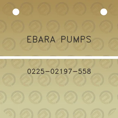 ebara-pumps-0225-02197-558