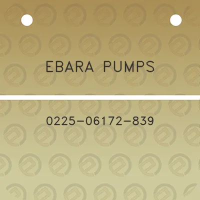 ebara-pumps-0225-06172-839