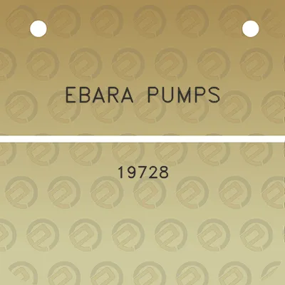 ebara-pumps-19728