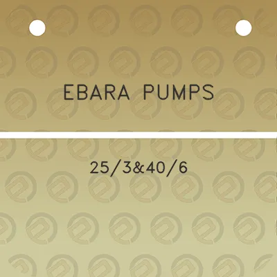 ebara-pumps-253406