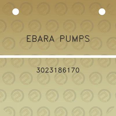 ebara-pumps-3023186170