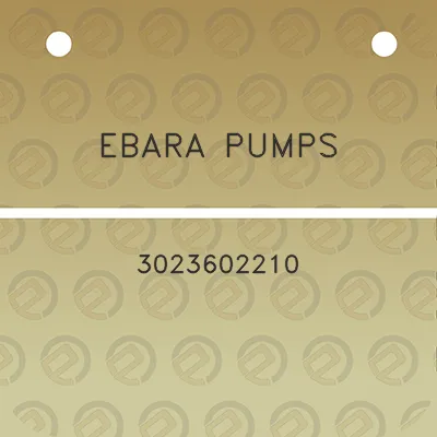 ebara-pumps-3023602210