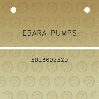 ebara-pumps-3023602320