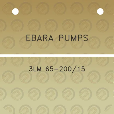 ebara-pumps-3lm-65-20015