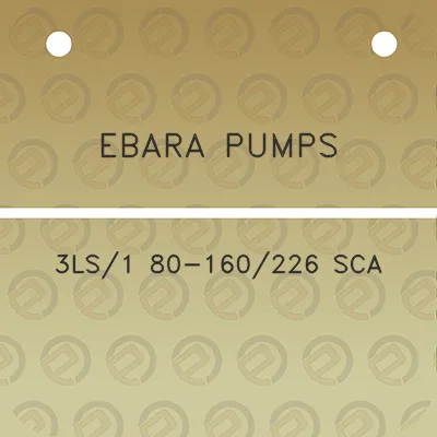 ebara-pumps-3ls1-80-160226-sca