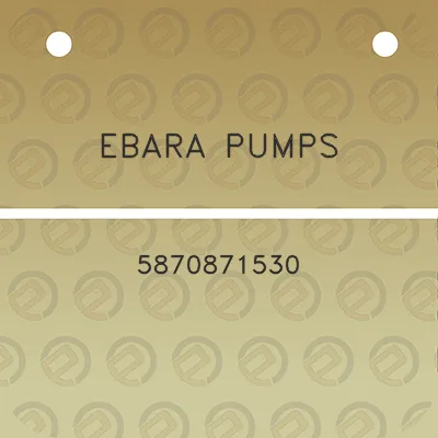 ebara-pumps-5870871530