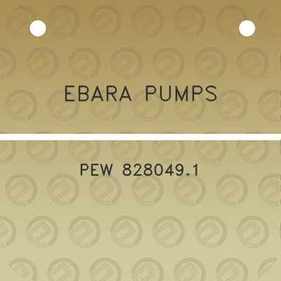 ebara-pumps-pew-8280491