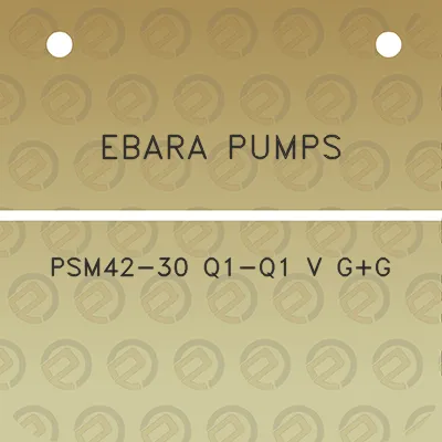 ebara-pumps-psm42-30-q1-q1-v-gg