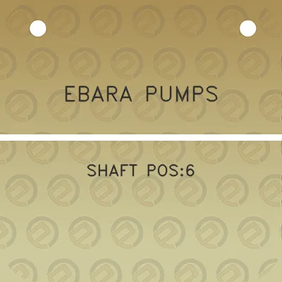 ebara-pumps-shaft-pos6