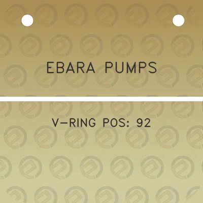 ebara-pumps-v-ring-pos-92