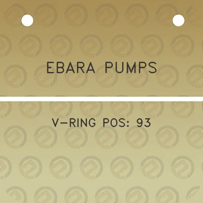 ebara-pumps-v-ring-pos-93