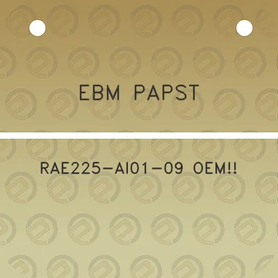 ebm-papst-rae225-ai01-09-oem