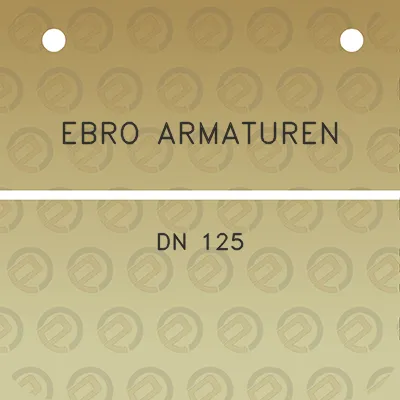 ebro-armaturen-dn-125