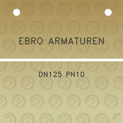 ebro-armaturen-dn125-pn10