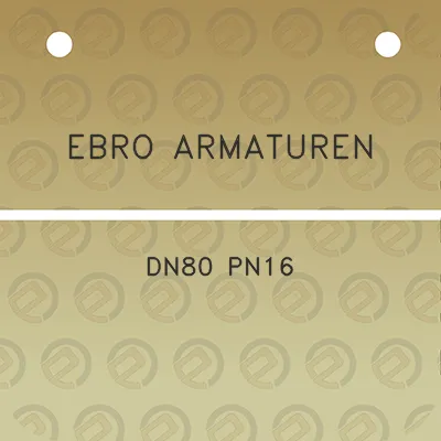 ebro-armaturen-dn80-pn16