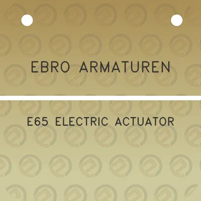 ebro-armaturen-e65-electric-actuator