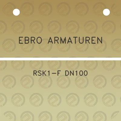 ebro-armaturen-rsk1-f-dn100