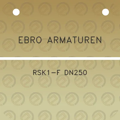 ebro-armaturen-rsk1-f-dn250