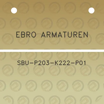 ebro-armaturen-sbu-p203-k222-p01