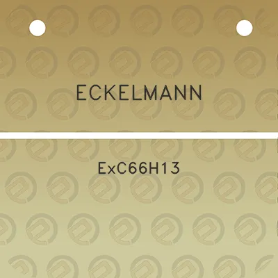 eckelmann-exc66h13