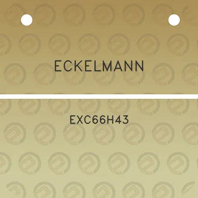 eckelmann-exc66h43