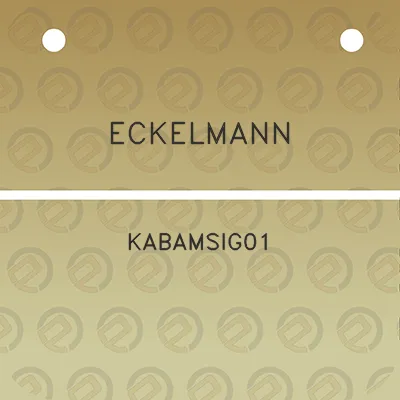 eckelmann-kabamsig01