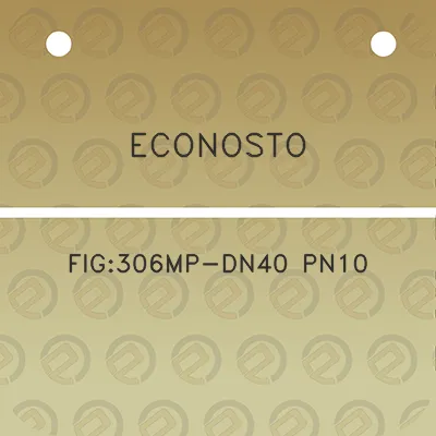 econosto-fig306mp-dn40-pn10