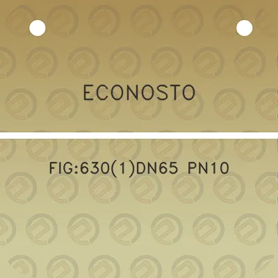 econosto-fig6301dn65-pn10