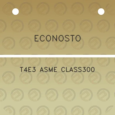 econosto-t4e3-asme-class300